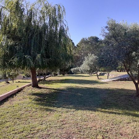 La Bastide Des Selves Bed & Breakfast ดรากิญญ็อง ภายนอก รูปภาพ