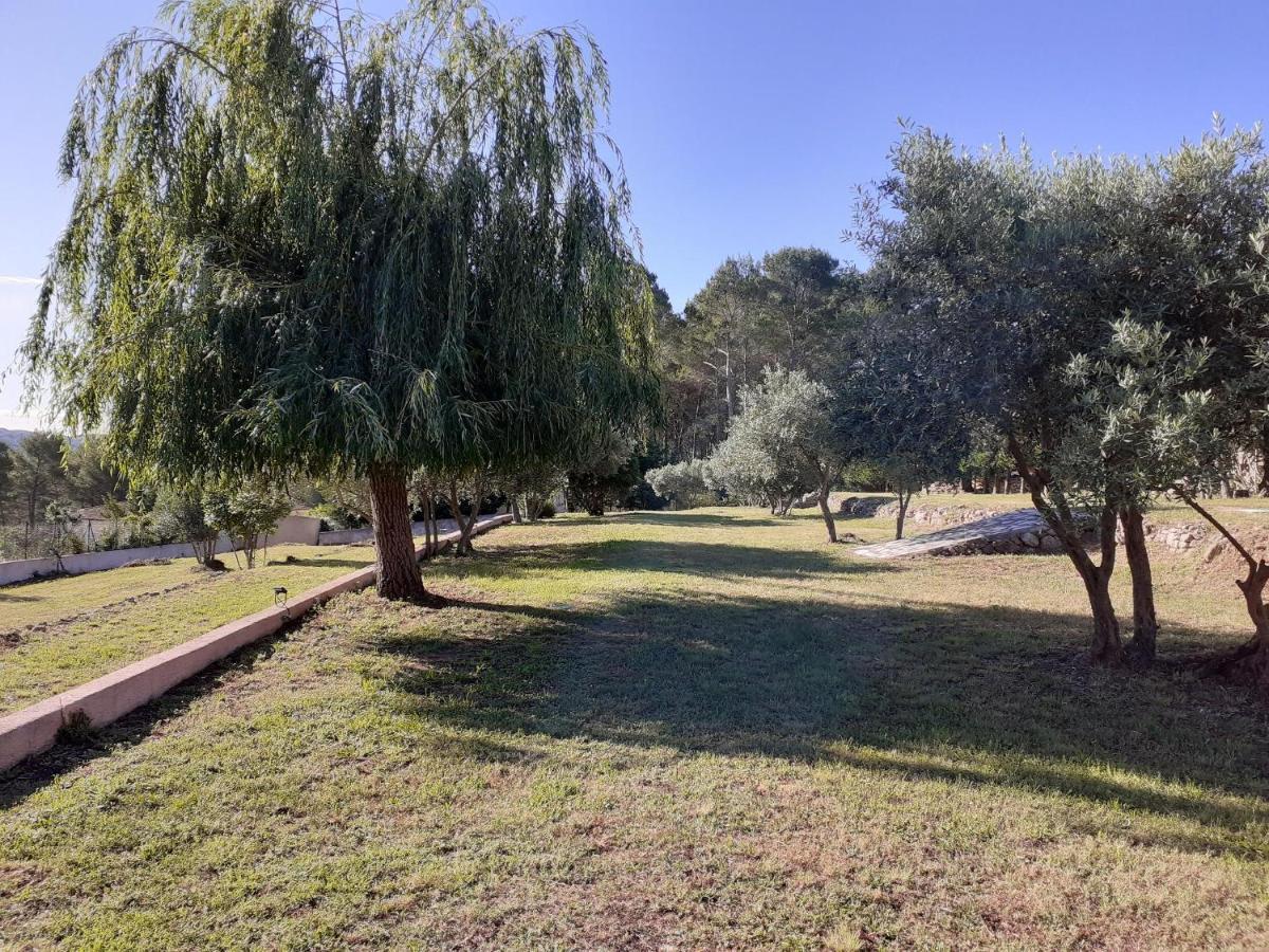 La Bastide Des Selves Bed & Breakfast ดรากิญญ็อง ภายนอก รูปภาพ