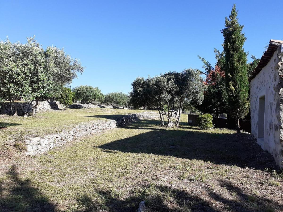 La Bastide Des Selves Bed & Breakfast ดรากิญญ็อง ภายนอก รูปภาพ